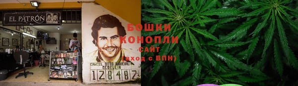 прущие грибы Алексин