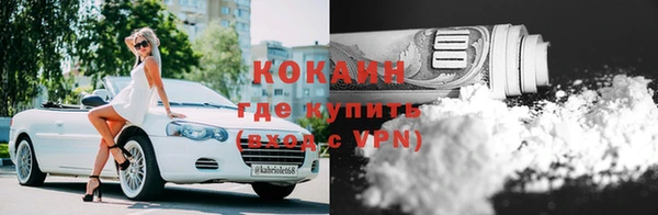 прущие грибы Алексин