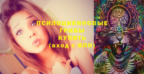 прущие грибы Алексин