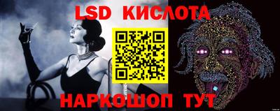 индика Ирбит