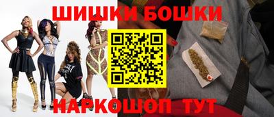 индика Ирбит