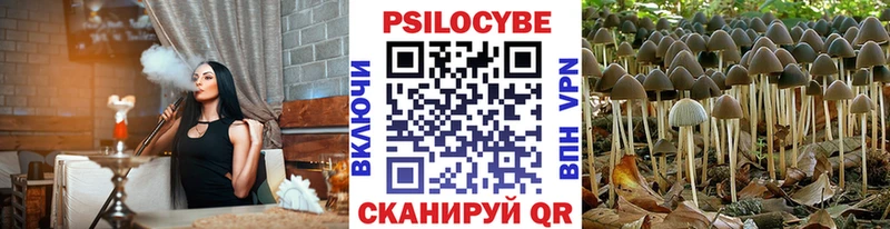 Псилоцибиновые грибы Magic Shrooms  hydra ССЫЛКА  Моздок 
