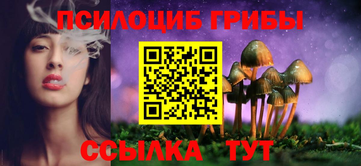 Моздок  Псилоцибиновые грибы прущие грибы  Вход с VPN 