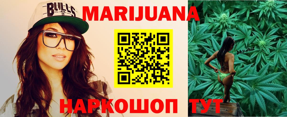 Каннабис сатива Моздок